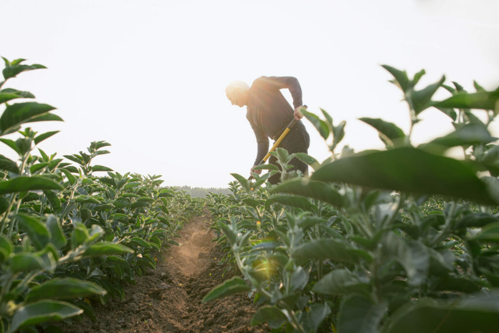 Farming photographer