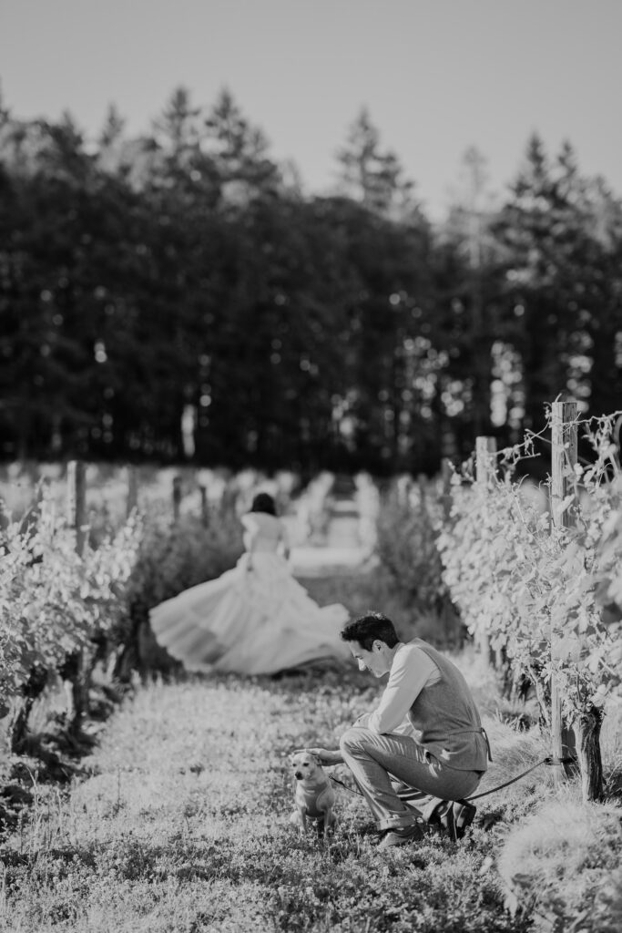 a couple at a winery on their wedding day